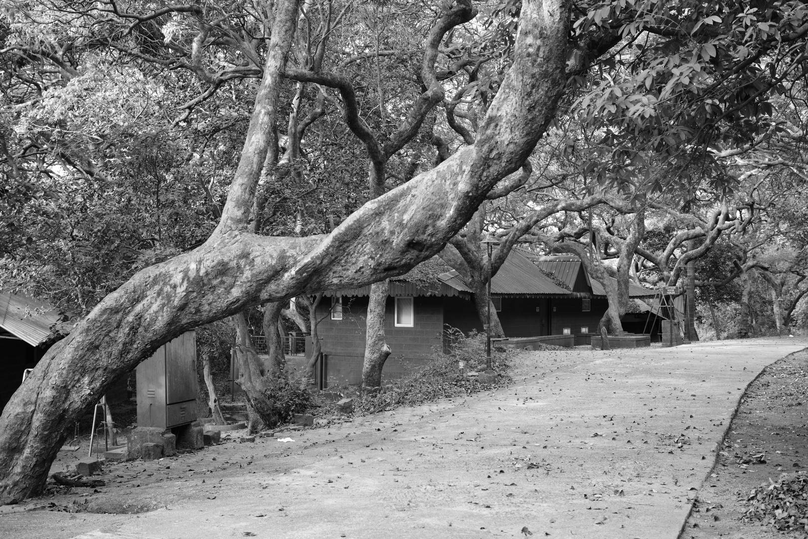 MTDC Mahabaleshwar