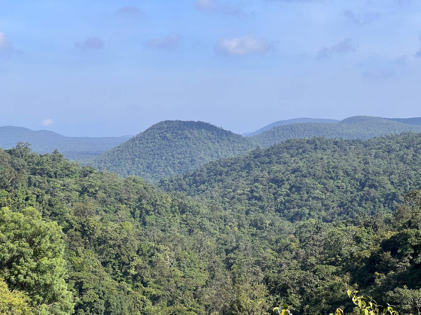 Jungles of Chattisgadh