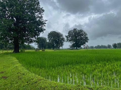 Pench forest buffer zone