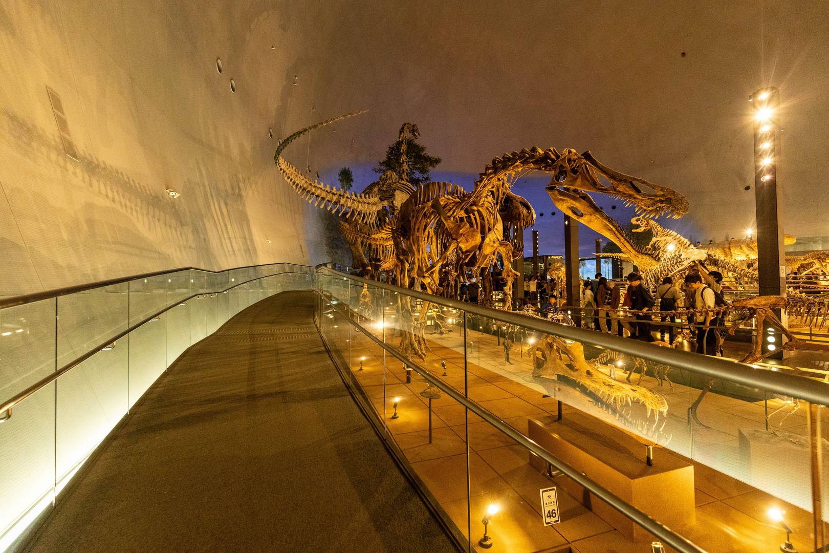 Dinosaur park, Japan