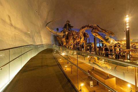 Dinosaur park, Japan