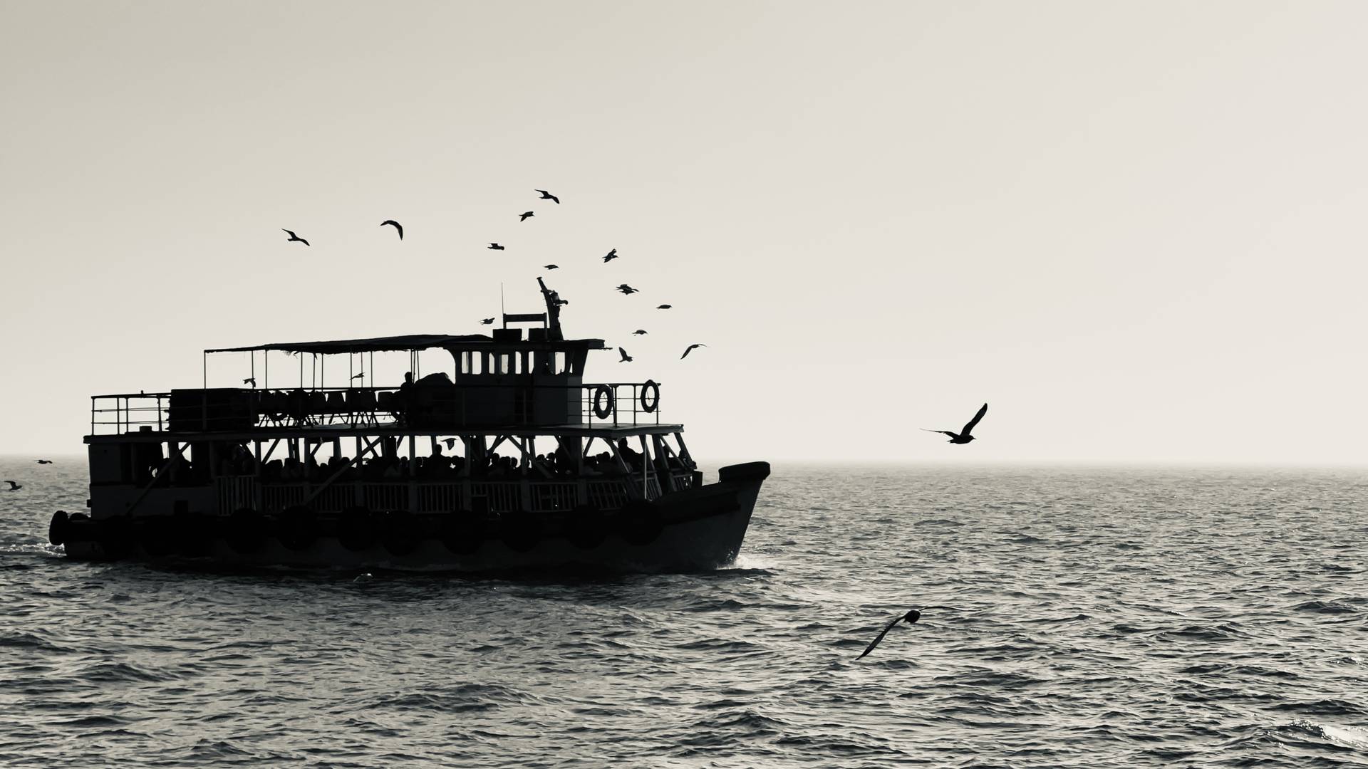 The Boat and the Gulls