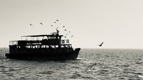 The Boat and the Gulls