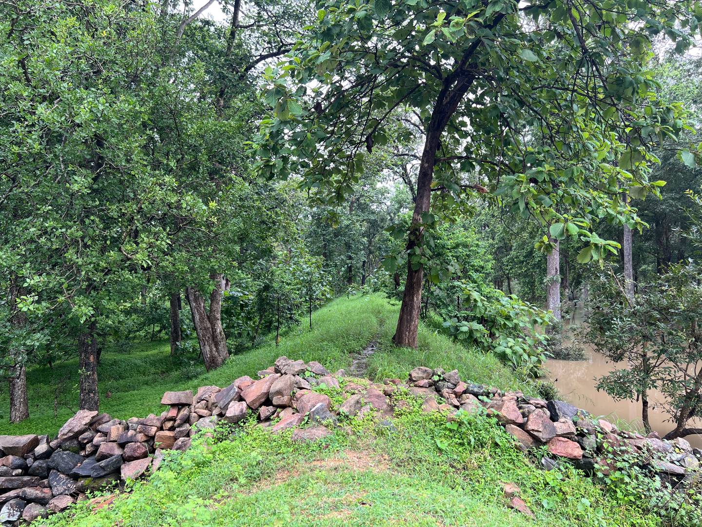 Looking into the Core