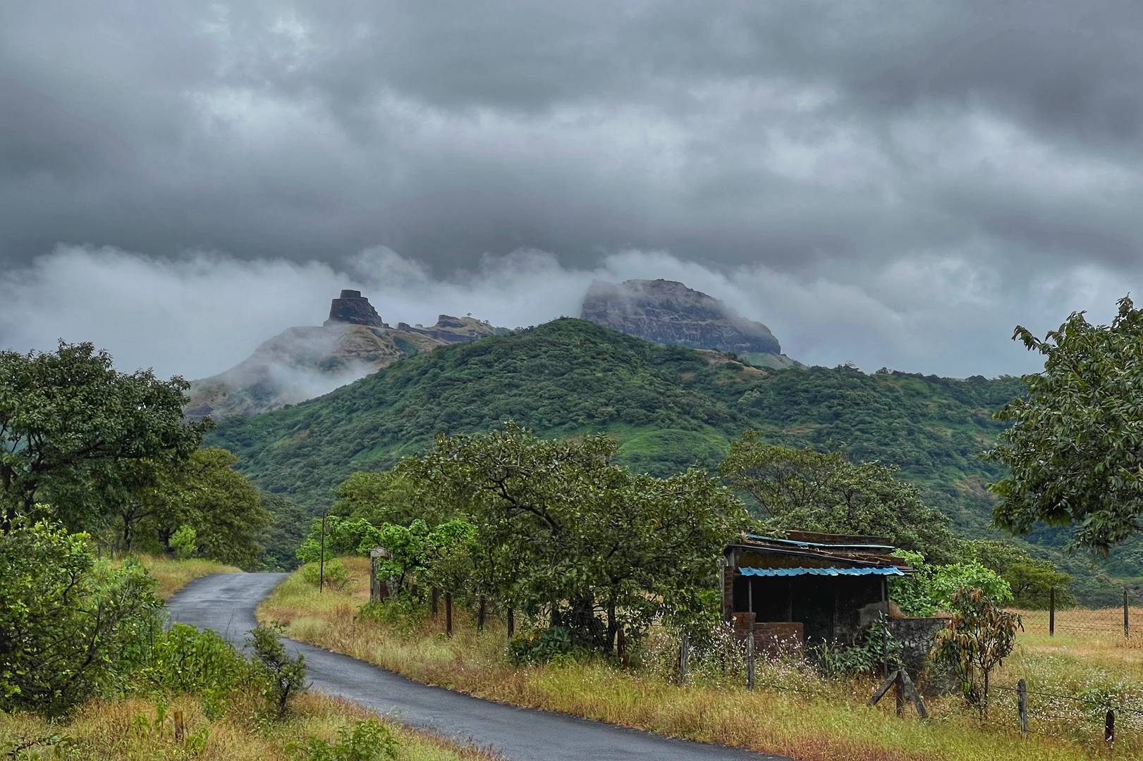 Sanjeevani Machi, Rajgad